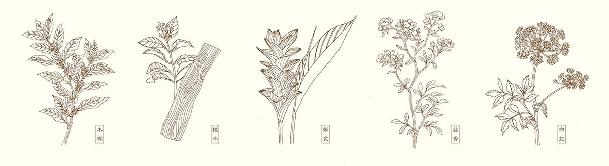 Herbscent香薰品牌形象設(shè)計