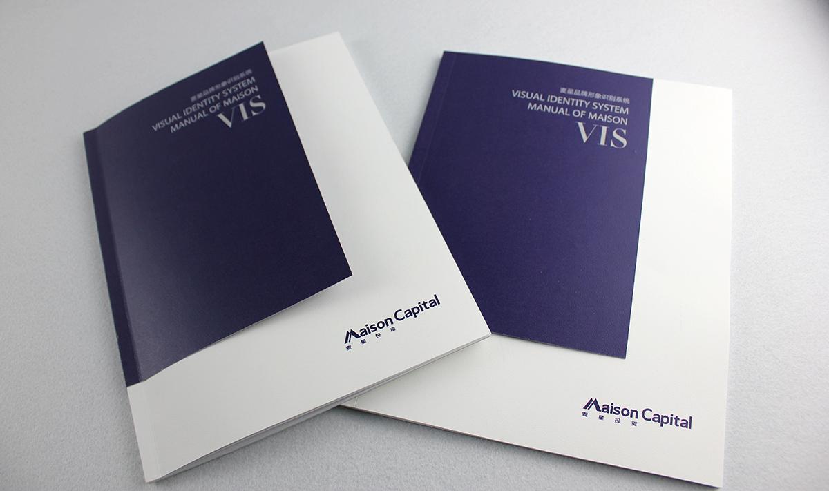 麥星投資金融品牌形象設計