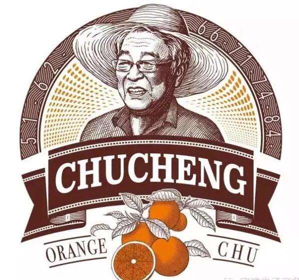 褚橙品牌故事 褚橙品牌故事